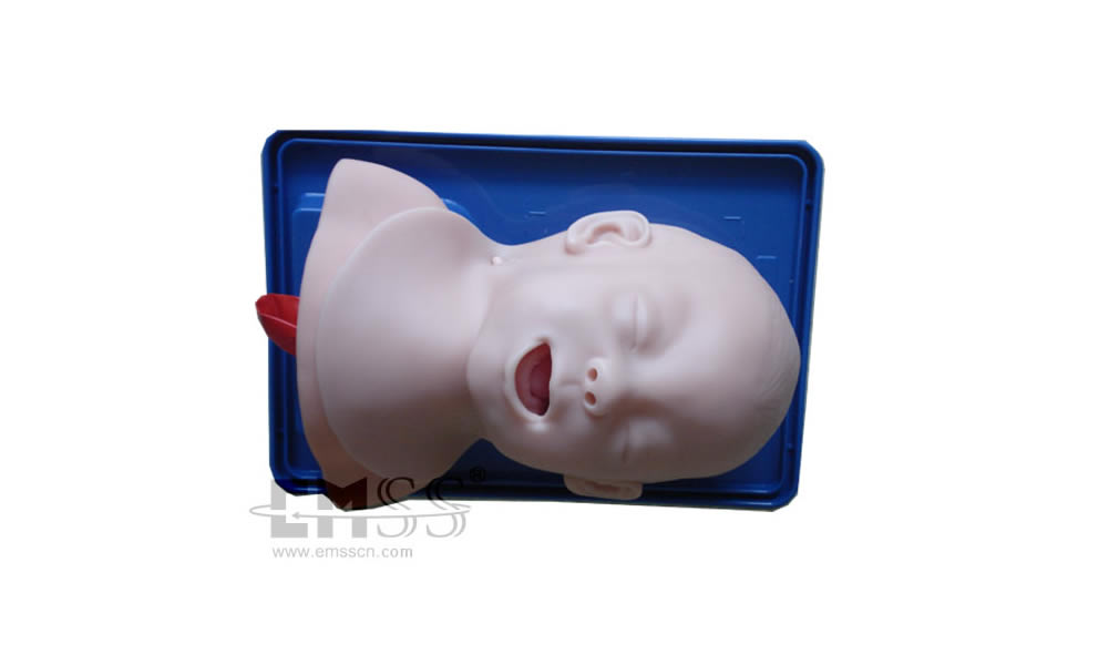 模拟人EM-016